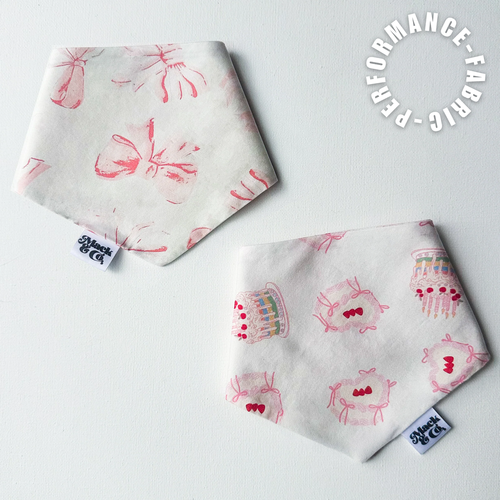 Birthday Bows Bandana *Reversible*