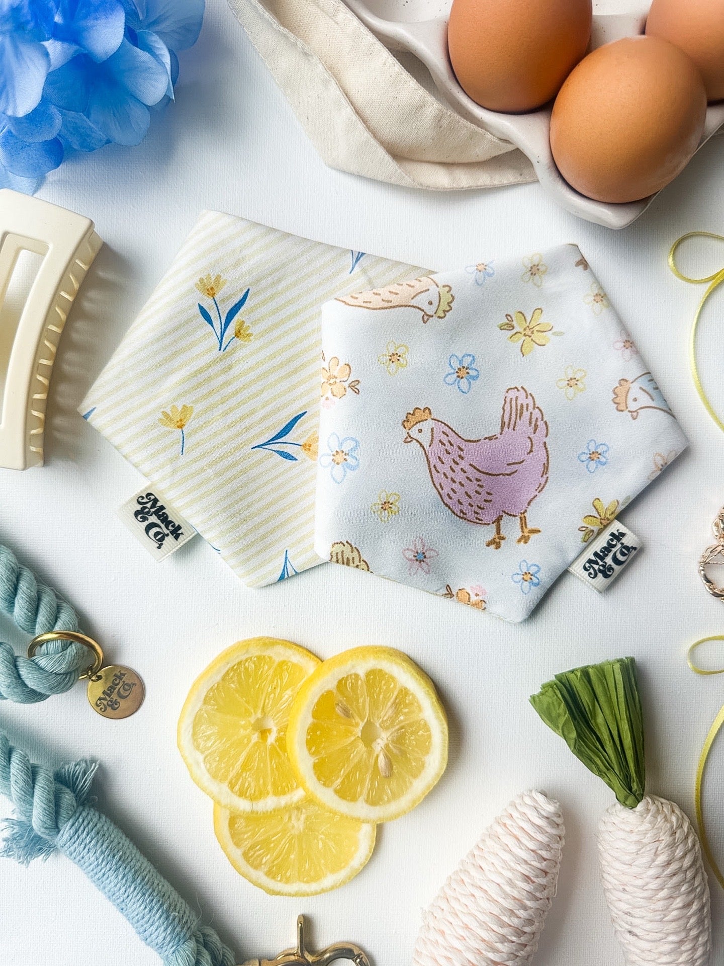 Spring Chicken Bandana *Reversible*