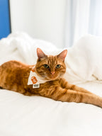 Boo Crew Bandana *Reversible*