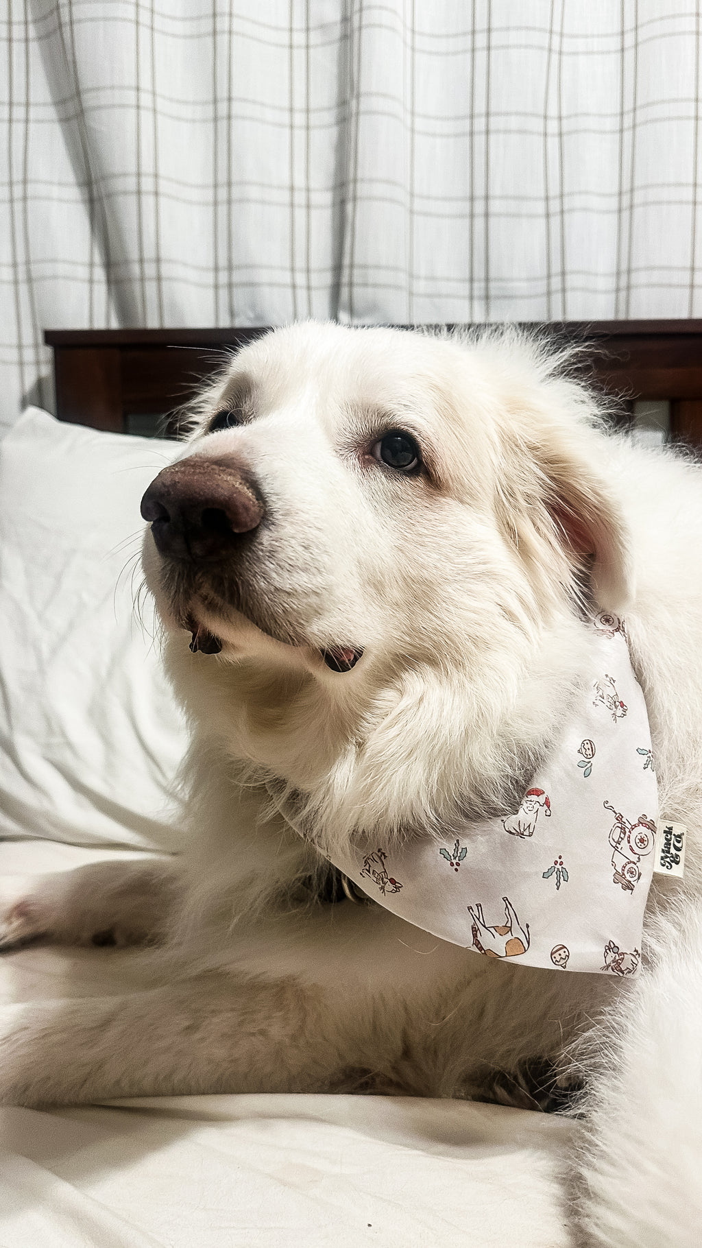 Christmas on the Farm Bandana *Reversible*