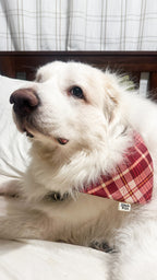 Christmas on the Farm Bandana *Reversible*