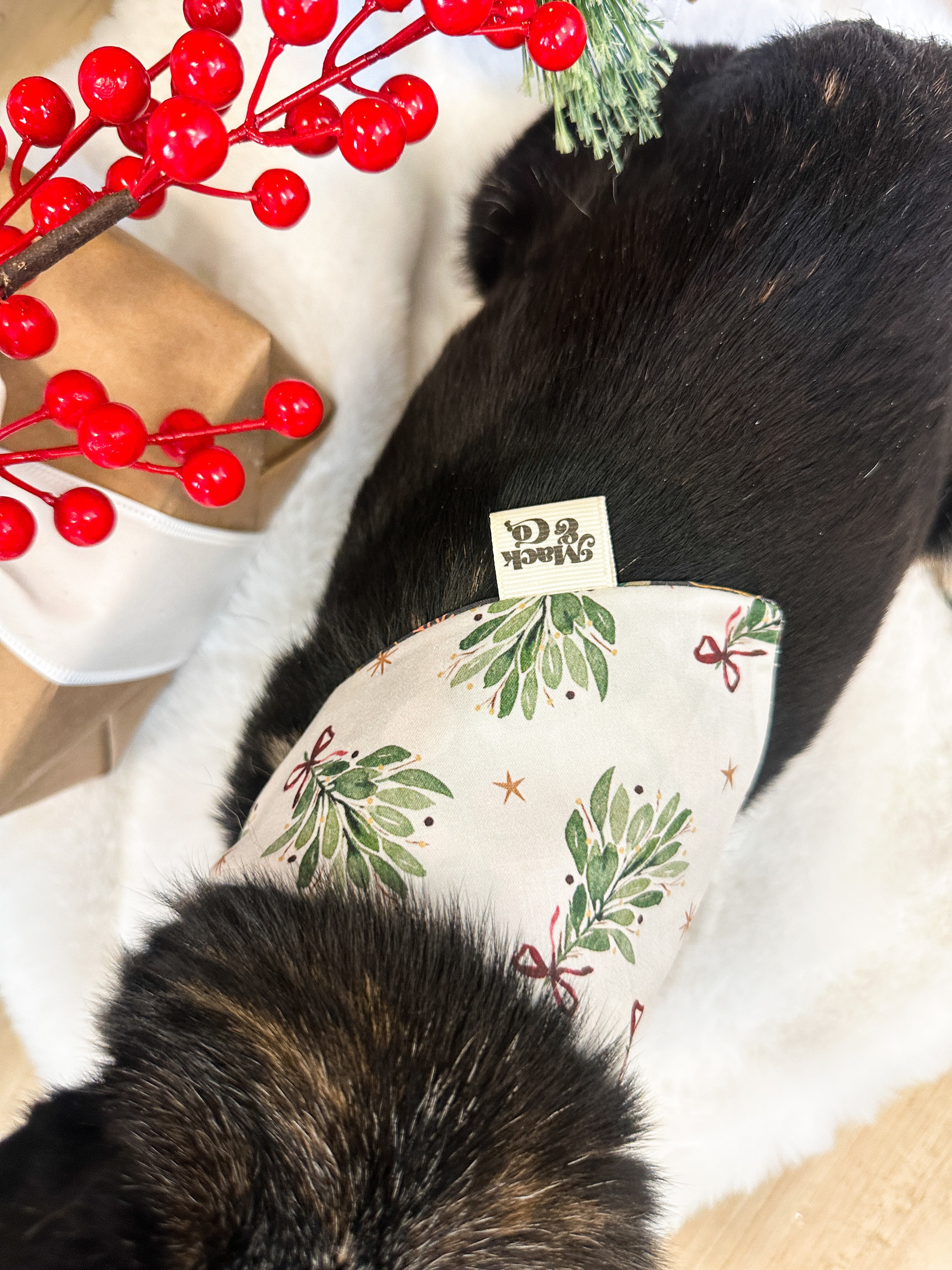 Meet Me Under the Mistletoe Bandana *Reversible*