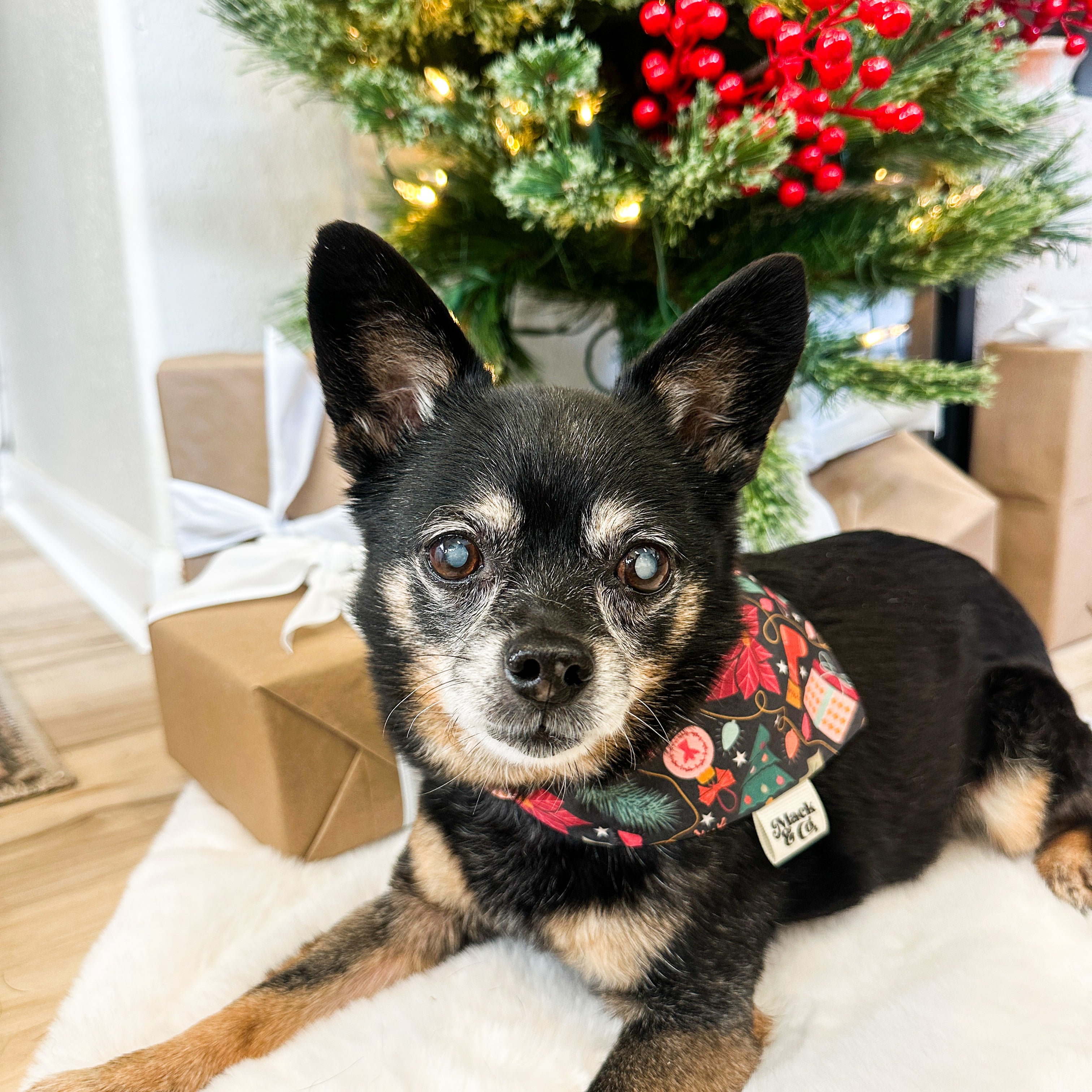 Meet Me Under the Mistletoe Bandana *Reversible*