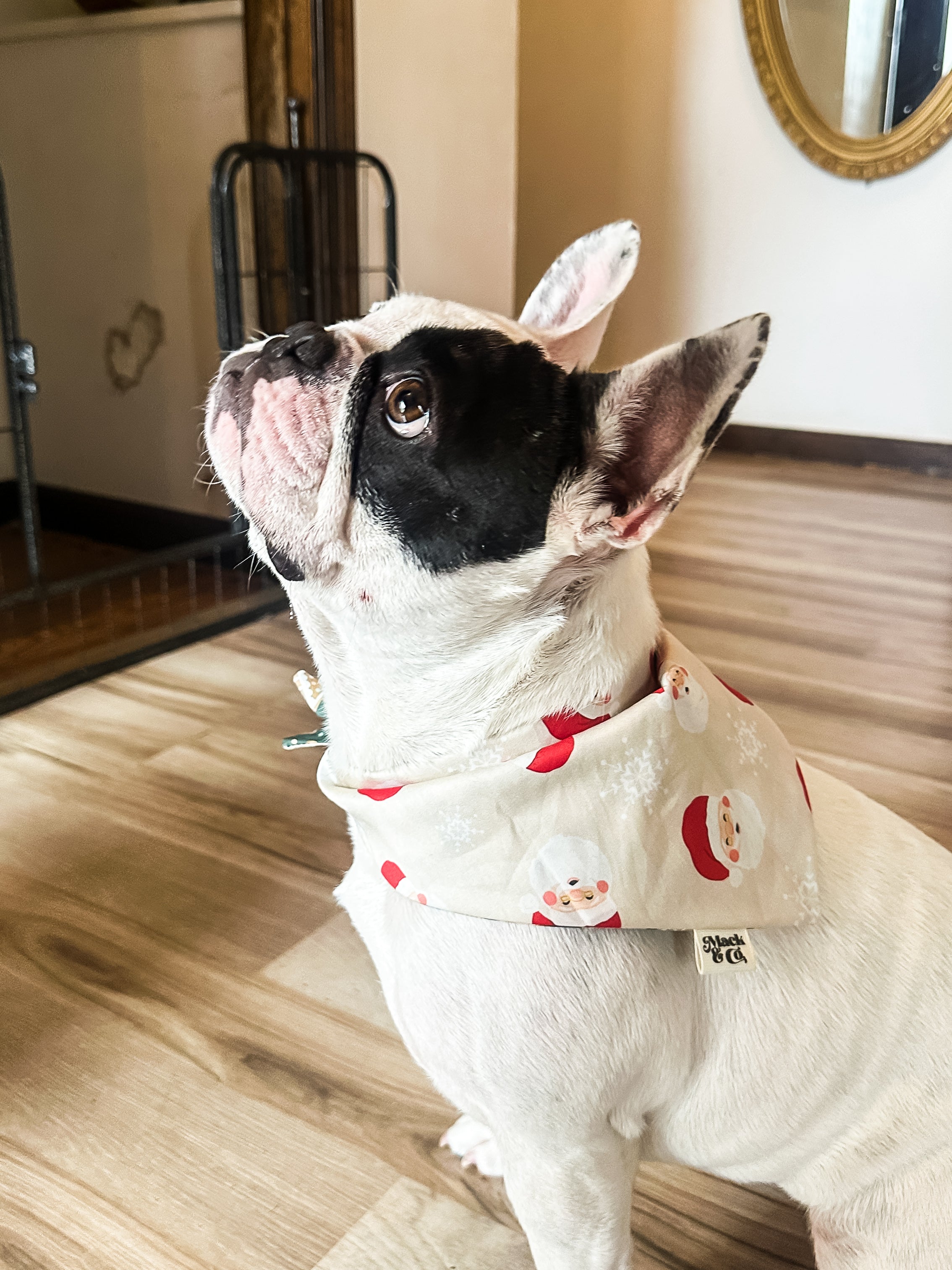 Cookies for Santa Bandana *Reversible*