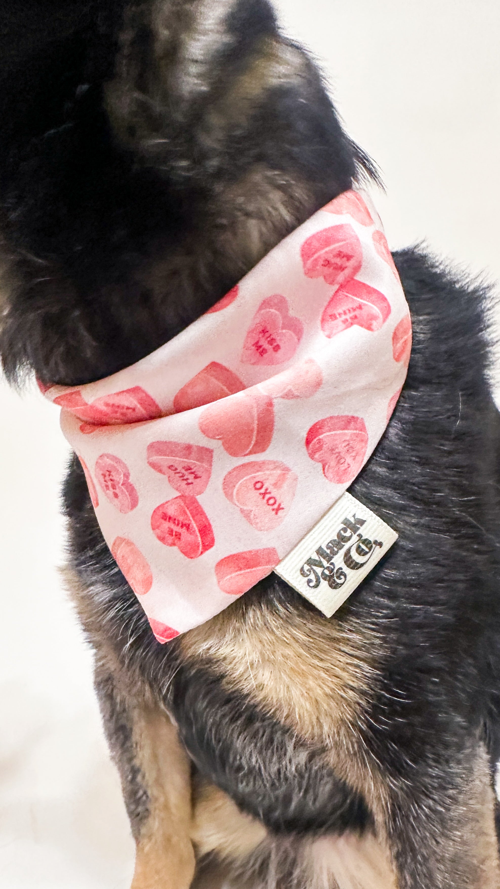 Sweetheart Plaid Bandana *Reversible*