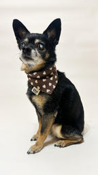 Teddy Bear Kisses Bandana *Reversible*