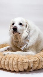 Teddy Bear Kisses Bandana *Reversible*