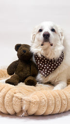 Teddy Bear Kisses Bandana *Reversible*
