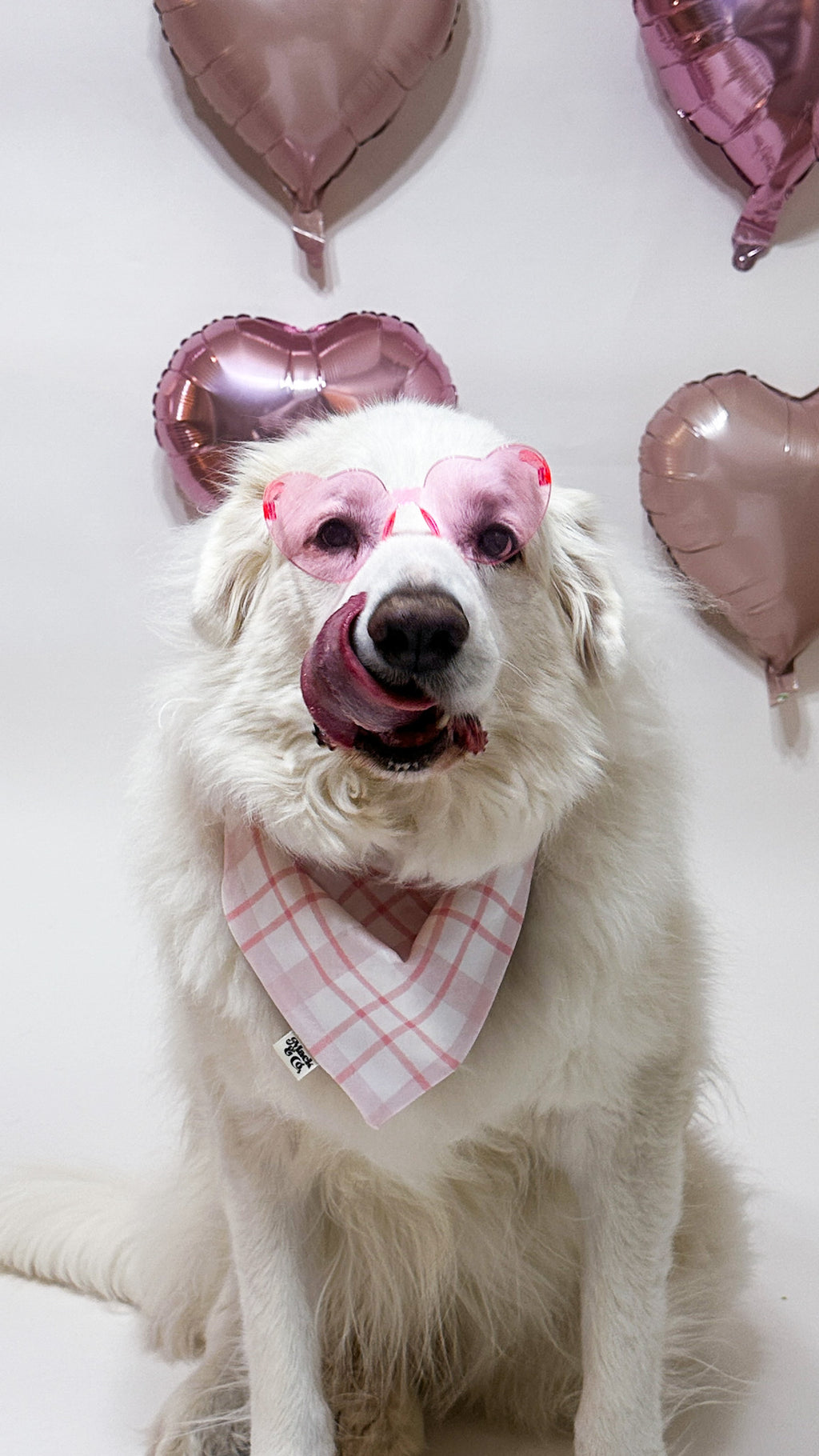 Sweetheart Plaid Bandana *Reversible*