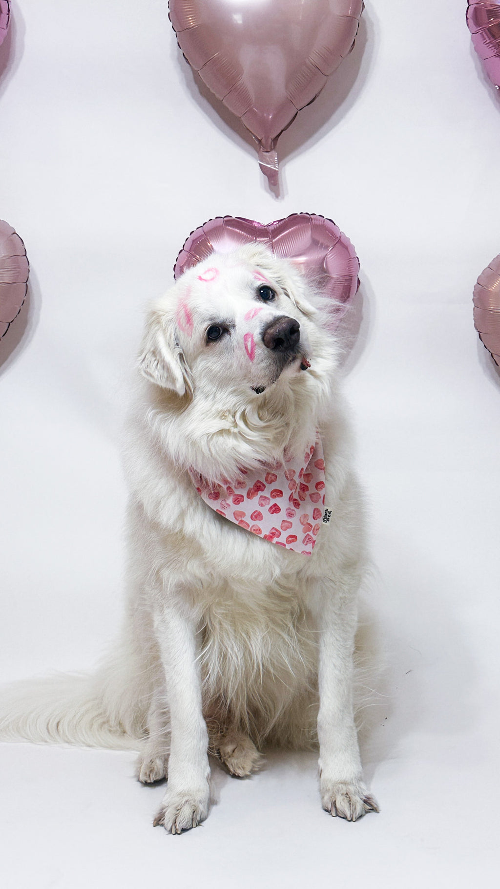 Sweetheart Plaid Bandana *Reversible*