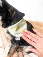 Linen & Hydrangea Bandana *Reversible*