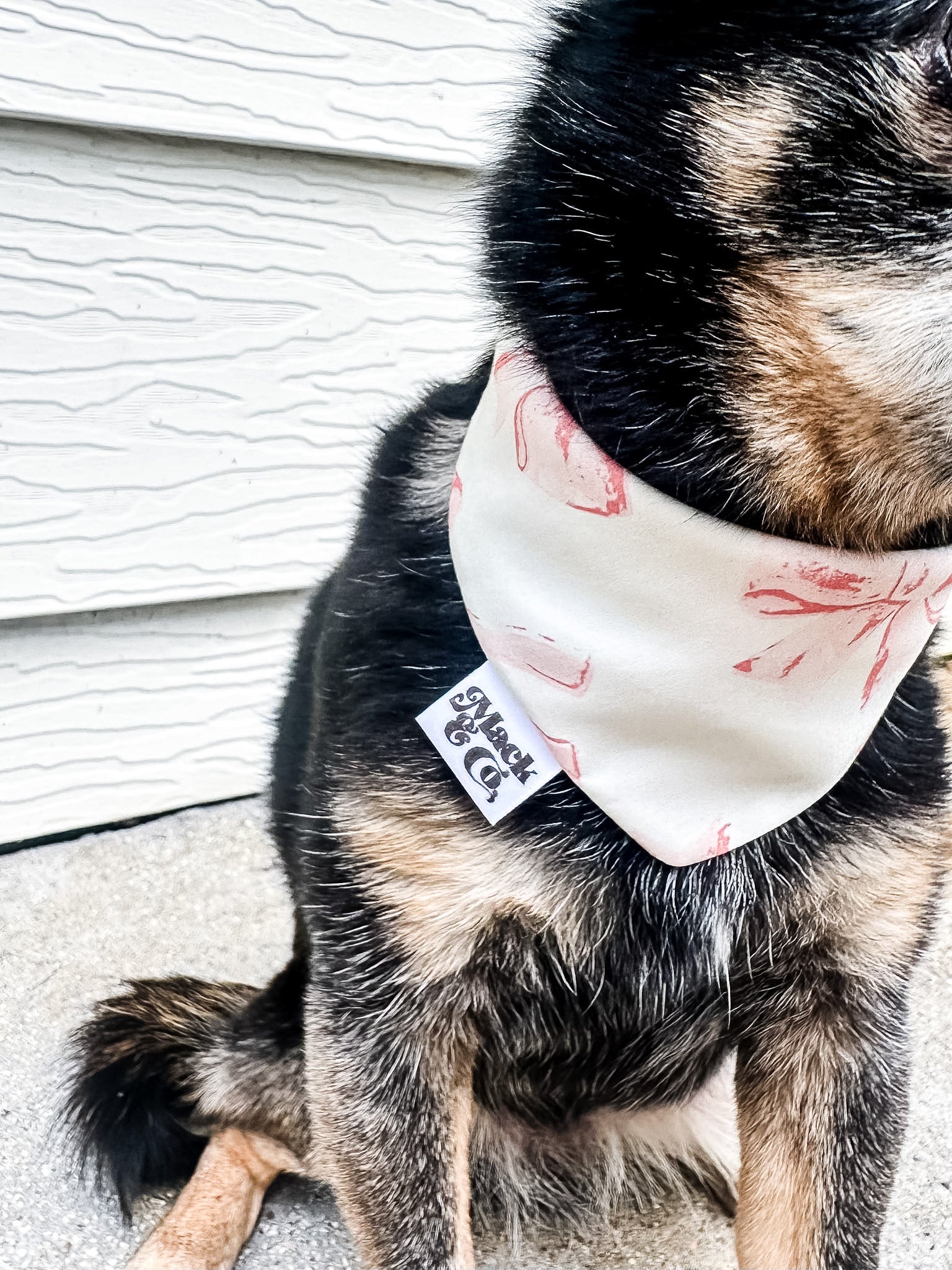 Birthday Bows Bandana *Reversible*