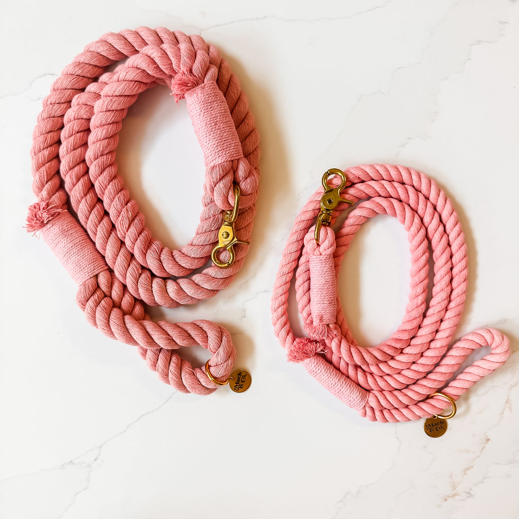 Cotton Rope Dog Leash - Peony
