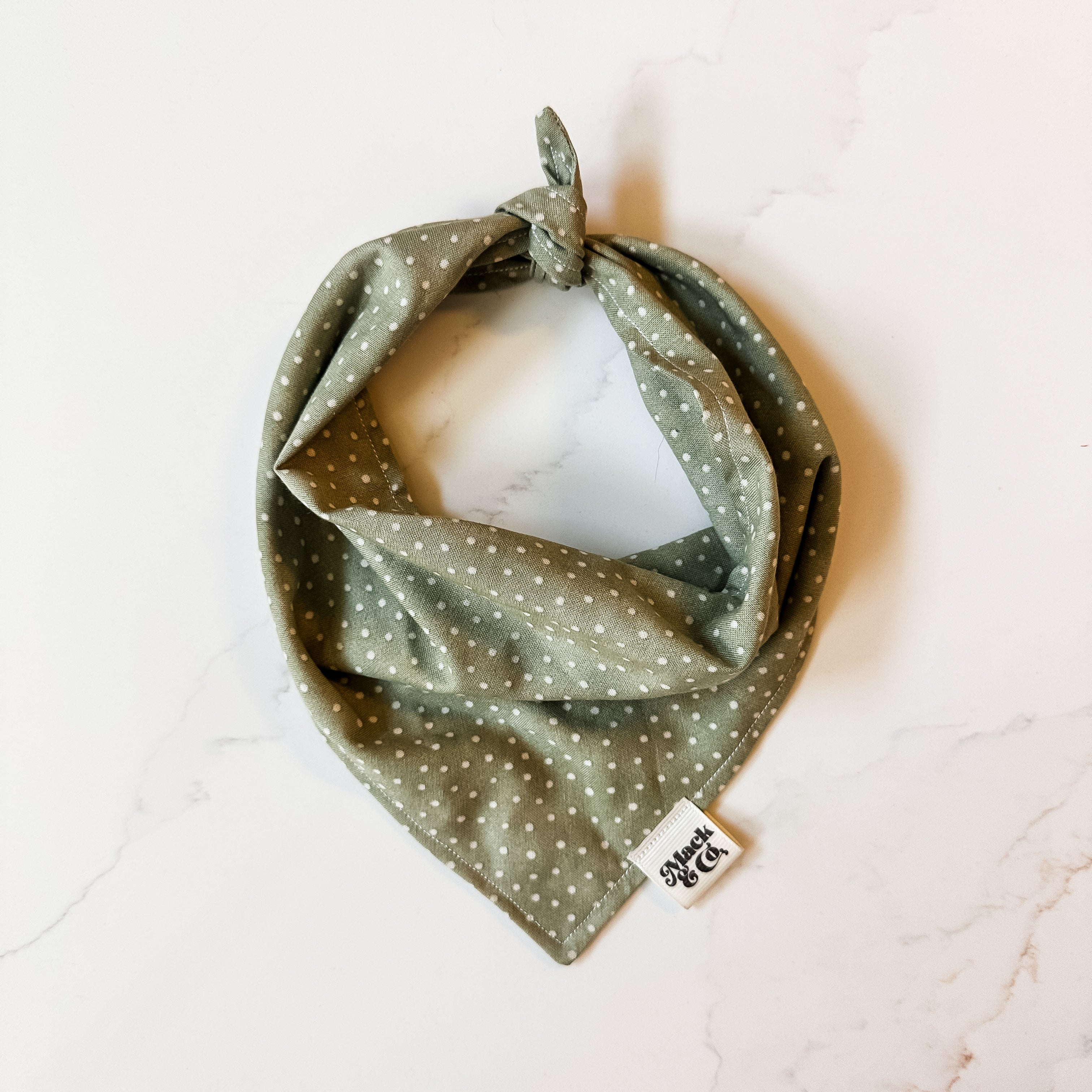 Polka Dot Meadow Bandana