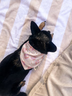 Coastal Daisy Bandana