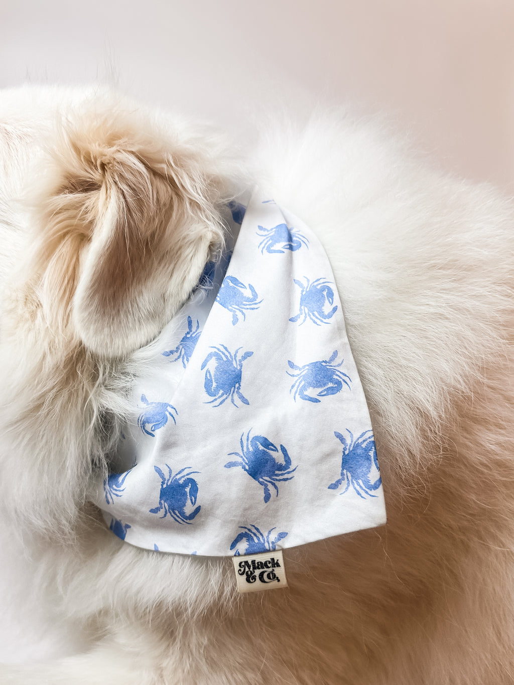 Blue Crab Bay Bandana *Reversible*