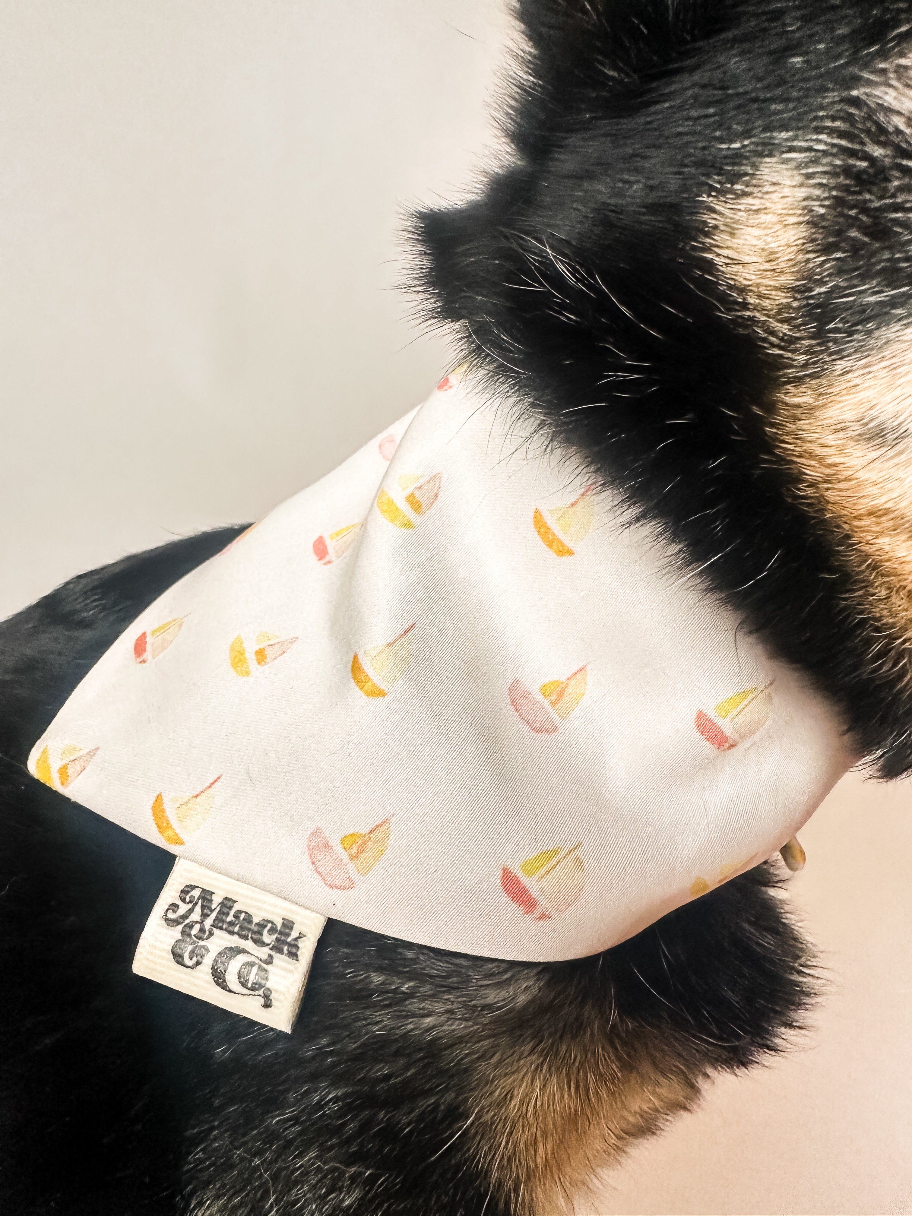 Golden Sails Bandana *Reversible*