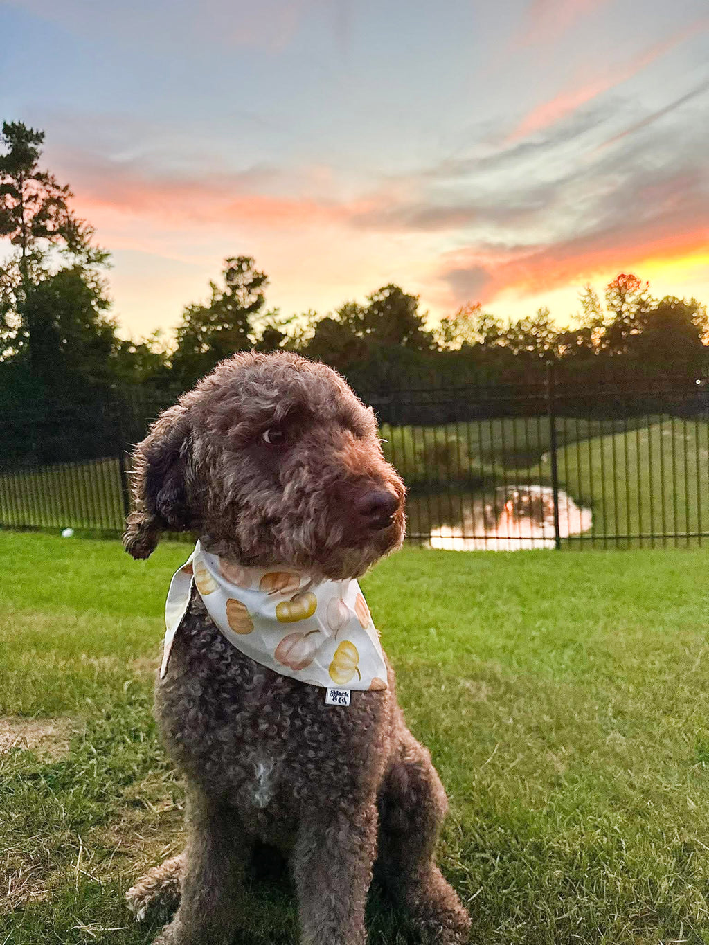 Autumn Drift Bandana *Reversible*